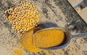 China starts review of anti-dumping measures on U.S. distillers grains
