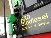 Argentina seeks faster U.S. review of biodiesel tariffs