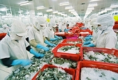 US to investigate Vietnam ‘shrimp king’ for anti-dumping tax evasion
