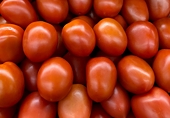 (US) Commerce sets preliminary dumping margin of 25% on Mexican tomatoes