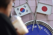 Japan's Economic Restrictions on South Korea Are Overkill