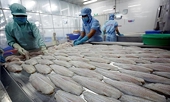 Vietnam grapples with trade probes as protectionism increases