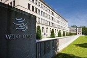 Statistics of Safeguard Measures on commodity groups in the world up to 31 October 2010