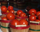 US-Mexico Tomato Trade War Faces Crucial Deadline on Monday