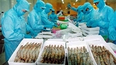  Vietnam keeps goal of export value growth at 7.5 percent in 2019