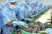 Vietnamese shrimp exporters enjoy zero taxes to US