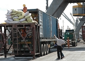 Việt Nam faces difficulties in rice exports 