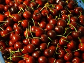 US: Preliminary finding: Importers are dumping cherries from Turkey