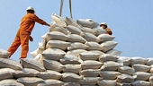 Philippines: Economic managers thumb down safeguard duty on rice  