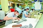 Domestic firms boost exports, trade surplus