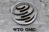 Explained: How India subsidised certain exports, why WTO panel ruled against it