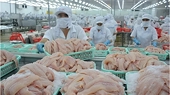 Opportunities to boost export of tra fish