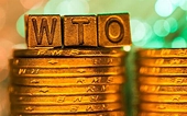 India files appeal against WTO panel report on export subsidies