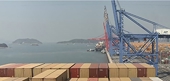 S. Korea launches anti-dumping probe into Vietnamese plywood
