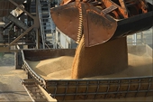 China extends probe into Australia barley