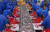 Vietnam’s tra fish exports to reach 2.3 billion USD in 2019