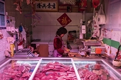 China lowers import tariff for frozen pork