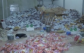 More work needed to fight trade fraud, smuggling