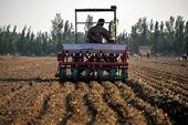 China won’t hike grain import quotas for US trade deal: Report
