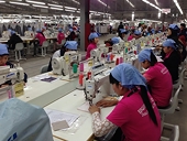 CPTPP not proving a hit across the board