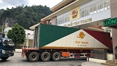 nCoV outbreak impacts Vietnam’s trade with not only China