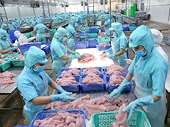 Fisheries sector grapples with impact of COVID-19