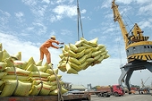 Rice export prices surge amid high demand