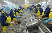 Vietnam’s seafood exports hit hard by coronavirus outbreak