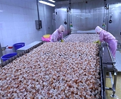 Vietnamese economy resilient to external shocks: WB