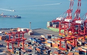 Supply chains in Việt Nam disrupted by Covid-19