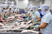 US reduces import duties on Vietnamese tra and basa fish