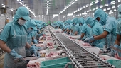 Seafood export value down 10% in first four months