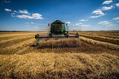Australia concerned over China's barley tariffs as tensions rise