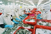 Australia to impose new regulations on prawn imports