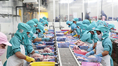 Firms must be aware of increasing trends of investigations for trade remedy evasion: ministry
