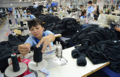 Local enterprises must raise product quality to surmount EU barriers: experts