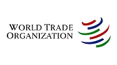 China lets WTO dispute against EU lapse after losing interim ruling