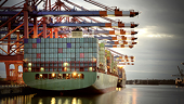 Statistics of Safeguard Measures on commodity groups in the world up to 31th December 2019