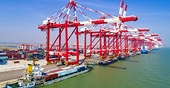 Statistics on safeguard case against imports conducted by Vietnam up to 31 December 2019