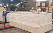 Trade defense lawsuits in first six months higher than 2019