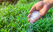 Russian Fertilizers Producers Association welcomes WTO's judgement on EU anti-dumping duties