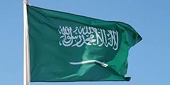 Saudi Arabia appeals panel report regarding intellectual property measures