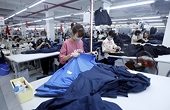 EVFTA offers new prospects to European economies