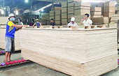 Solution to cope with anti-tax evasion against plywood products