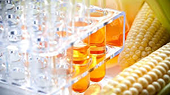 Vietnam probes into high-fructose corn syrup imported from China, South Korea