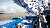 Opportune time for Vietnam to boost rice exports