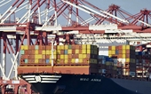 China expects ag anti-dumping cases played by Beijing's rules