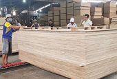 Customs agencies struggle to fight against smuggling, origin fraud