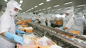 Exports to EU need long-term vision