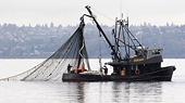 Fisheries subsidies negotiations chair introduces revised draft consolidated text